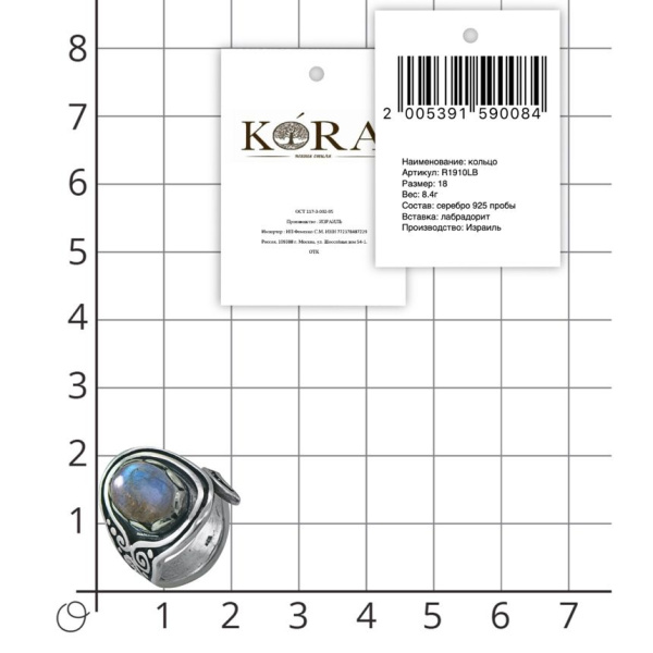 Кольцо в этническом стиле из черненого серебра с лабрадором