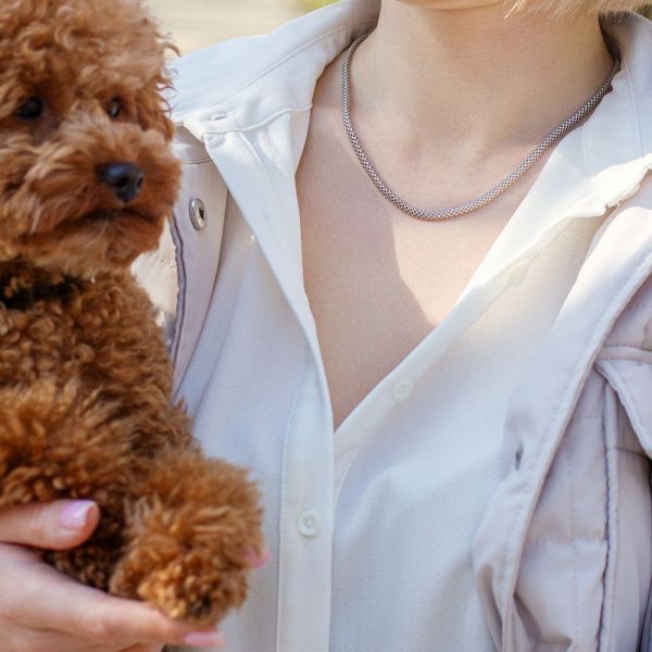 Цепь серебряная с алмазной огранкой